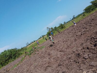 A vibrant scene unfolds on a steep, brown hillside beneath a clear blue sky. Several people are actively farming the land. A prominent figure in the foreground holds a tool, perhaps for tilling the soil. Other individuals are visible further up the slope, engaged in similar activities. Lush green vegetation borders the field, adding a touch of nature's contrast to the cultivated earth.