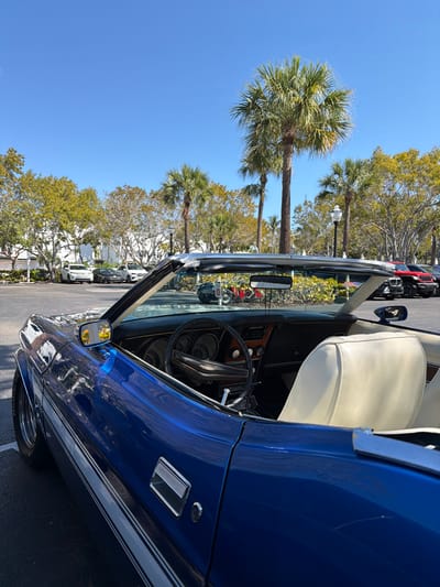The image displays a blue classic convertible car, featuring a white side stripe, parked outdoors under a clear blue sky in Naples, Florida, United States of America. The car occupies the left and central foreground, angled to reveal its interior. The interior contains cream-colored bucket seats, a dark dashboard with a woodgrain trim, and a three-spoke steering wheel. No occupants are visible within the vehicle. In the background, numerous green palm trees and other deciduous trees, some with sparse foliage, line a parking area. Partially obscured by the trees are white multi-story buildings. Further in the background, several modern vehicles are parked, including a white SUV, a dark sedan, another white SUV, and a red Jeep Wrangler. A dark-colored motorcycle or another vehicle is also visible in the distance. Two white-globbed street lamps are discernible among the trees. The ground surface is dark asphalt, and the scene is brightly illuminated by natural sunlight.