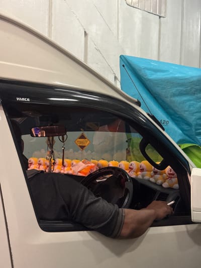 In Gunung Malang, Indonesia, a person is seated in the driver's seat of a white van. The driver, seen from the side, is wearing a dark, textured shirt and has their right arm resting on the interior of the van. They are holding a lit cigarette between the index and middle fingers of their right hand. The van's dashboard is visible, including a steering wheel and a rear-view mirror adorned with several keychains and decorative charms. The windshield is lined with a row of stuffed toys, resembling cartoon characters with yellow heads and orange bodies. Outside the van, a bright blue tarp is visible, partially covering objects. The van's interior appears to be illuminated, and the background suggests an indoor or covered environment with a textured wall. The word "HIACE" is visible on the window trim above the driver's side door.