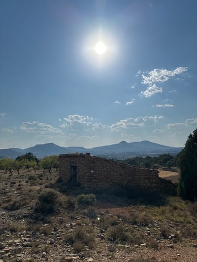 The image depicts a sun-drenched landscape with a clear blue sky and scattered white clouds. In the foreground, a dilapidated stone structure with an open doorway stands on a dry, rocky hillside dotted with sparse vegetation and a few scattered trees. In the mid-ground, a line of trees, possibly olive or almond trees, stretches across the frame, with a few more trees and dense brush visible on the right. In the background, rolling hills and mountains are silhouetted against the sky, with wind turbines visible on the distant peaks. A town or village is faintly visible in the valley. The overall scene suggests a rural, arid environment in Alpuente, Spain, under bright sunlight.