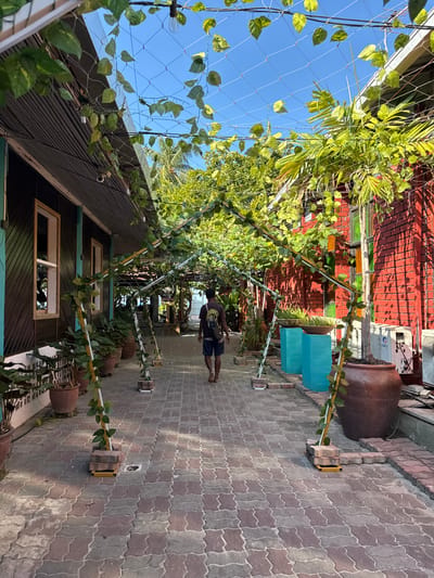 A pathway tiled with interlocking bricks stretches into the distance, lined by a series of square archways. These archways are covered in leafy vines and supported by square brick bases. A person walks along the pathway, partially visible beneath the overhead greenery. To the left is a building with a dark exterior and visible windows, while to the right is a brick wall. The sky is clear and blue, visible through a net-like structure above the archways.