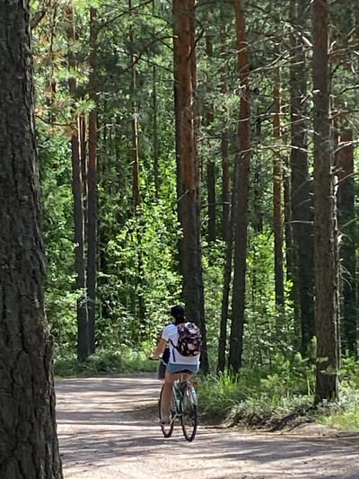 A person rides a bicycle on a dirt path through a pine forest. The person is wearing a white t-shirt, blue shorts, and a backpack with a floral pattern. The bicycle is light blue. Sunlight filters through the trees, casting shadows on the path. The foreground is dominated by the rough bark of a large pine tree on the left. The background consists of dense green foliage and tall pine trees. The scene appears to be in a natural, wooded area, possibly Leipyasuo, Russia, given the characteristic pine forest landscape.