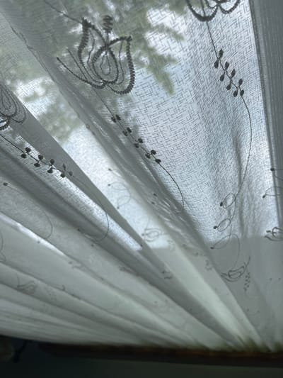 The image shows a close-up view of sheer white curtains with delicate embroidered patterns of flowers and leaves. The curtains are draped and folded, allowing light to filter through from an unseen window. Through the translucent fabric, blurred shapes of green foliage and a pale blue sky can be discerned, suggesting an outdoor scene beyond. The embroidery features swirling vines and clusters of small, bead-like flowers. The texture of the curtain fabric is visible, showing a fine, woven mesh. The lower part of the image reveals the folded pleats of the curtain, creating a sense of depth and volume. A dark horizontal line at the very bottom suggests the presence of a windowsill or frame. The setting appears to be indoors, looking out through a window covered by these decorative curtains.