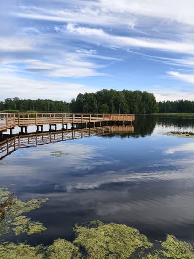 This media file depicts a serene outdoor scene featuring a wooden boardwalk extending over a calm body of water. The boardwalk, constructed of light-colored wood, is supported by pilings and features a railing. It leads to a wider platform area where it bends to the right.

The water is dark and still, reflecting the blue sky with wispy white clouds and the wooden boardwalk above. Patches of green algae or aquatic plants are visible floating on the surface of the water in the foreground. In the background, a dense line of lush green trees borders the far side of the water. The sky is a vibrant blue with streaks of white clouds, suggesting a pleasant day. The lighting indicates it is likely daytime, possibly late afternoon given the soft light.

There are no people visible in the image, nor is there any text. The overall impression is one of tranquility and natural beauty, inviting a sense of peace and relaxation. The scene captures the essence of a quiet natural setting, perfect for a walk or contemplation by the water. The location context provided is Slaka, Sweden, which aligns with the temperate climate suggested by the foliage and sky.