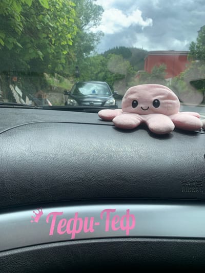 A pink plush octopus toy with a smiling face is positioned on the dashboard of a car. To the left of the toy, there is a pink decal on a silver strip of the dashboard that reads "Теффи-Теф". The car appears to be in traffic on a road with trees and buildings visible through the windshield. The sky is overcast. The image was captured in Madan, Bulgaria.
