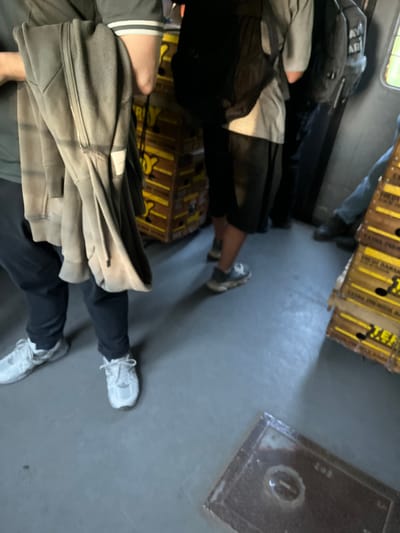 The image depicts a group of people standing inside what appears to be a transportation vehicle, possibly a train or bus, given the window visible on the right side and the metallic flooring. The scene is dimly lit, suggesting an indoor or low-light environment.
In the foreground, a person is wearing dark athletic pants and white sneakers. They are holding a light gray hooded sweatshirt, which is draped over their arm. The sweatshirt has a zipper and a white tag.
Behind this person, other individuals are visible, also dressed in casual attire. One person wears a light-colored short-sleeved shirt and dark pants, with a black backpack slung over their shoulder. Another person, further in the background, is wearing dark pants and dark shoes, with a hint of denim jeans visible on their left leg.
The environment is characterized by stacks of yellow boxes, some with black text, which could be merchandise or supplies. The floor is a textured, gray surface.
The image does not provide specific clues to pinpoint the exact location within Sviatopetrivske, Ukraine. However, the presence of organized stacks of goods and the interior of a transport vehicle suggest a commercial or logistical setting. The overall atmosphere is one of transit or waiting.