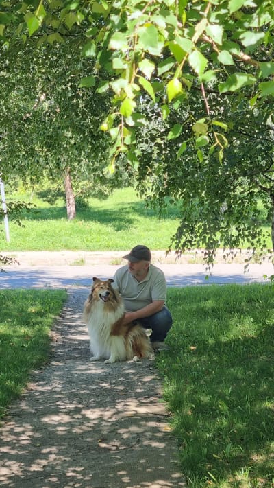 A man wearing a light-colored polo shirt and a dark baseball cap kneels on a dirt path in a park setting, next to a long-haired, tan and white dog that is sitting. The man has his left hand on the dog's back. They are positioned under the dappled shade of a large tree with green leaves. In the background, there is a paved road and a grassy slope with trees. The scene is set in the city of Verzilovo, Russia, on a bright, sunny day.