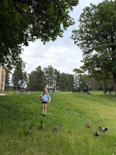 In a grassy park in Ulbroka, Latvia, a young girl stands among several ducks. She wears a light blue hoodie and black shorts, and holds a stuffed animal in her right arm. Her blonde hair is pulled back, and she appears to be looking at the ducks, possibly feeding them. The ducks are scattered across the lawn.
In the background, a line of dark green pine trees forms a backdrop to the scene. Beyond the trees, there are some park amenities visible, including benches and what appears to be playground equipment. A pink bicycle is leaning on its kickstand to the left of the girl, and another bicycle is visible further in the background.
The weather appears overcast, with a pale sky visible through the branches of large trees that frame the top and left side of the image. The grass is green and well-maintained. The overall impression is one of a peaceful, everyday moment in a park. There is no visible text in the image.