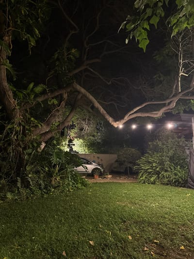 A nighttime scene shows a yard with grass to the right and a tree with bare branches extending to the left. String lights hang overhead. A silver car is parked near a structure with decorations. Dense foliage is interspersed throughout, adding to the darkness and depth of the scene.