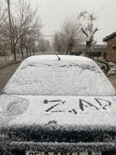 The image depicts a snowy winter day in Gulbahor, Uzbekistan. The foreground is occupied by the rear of a dark-colored sedan, its roof and trunk lid entirely covered in a fresh layer of white snow. A black stubby antenna extends from the rear roofline. The letters "Z.AR" are distinctly inscribed into the snow on the trunk lid, with a small paw print visible below the "Z." A partial license plate is visible at the bottom, displaying "25 A 1" and a segment of the Uzbekistan flag. Snow is actively falling, creating an overcast and hazy environment. A paved road, appearing slick with snow and moisture, extends into the background, flanked on both sides by numerous bare trees with snow adhering to their branches. In the right mid-ground, several cattle, including at least two dark brown cows and one black calf, stand on snow-covered ground adjacent to a partially visible, earth-toned building with a snow-dusted roof. No people are visible.