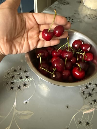 The image captures an indoor scene, likely at a table, where a person's hand holds a small cluster of fresh cherries near a bowl brimming with more.
**Subjects:** The primary subjects are a human hand, numerous ripe cherries, and a metallic bowl. The hand, with light skin tone, is shown with its palm facing upwards, gently cradling two cherries by their stems. The bowl, appearing to be made of silver or stainless steel, is filled to the brim with dark red cherries. The background features a light-colored tablecloth with a subtle floral pattern.
**Activity or Event:** The image depicts a simple, everyday activity involving fresh fruit. The person seems to be either preparing to eat the cherries, displaying them, or perhaps selecting them from the bowl.
**Notable Details:** The cherries are a striking deep red, appearing glossy, plump, and fresh, each with a vibrant green stem. The metallic bowl reflects some light, adding to the visual appeal. The tablecloth is a light grey or light blue hue, decorated with an elegant white floral motif, where some flowers have dark centers, providing a decorative backdrop. The lighting appears to be ambient indoor light, illuminating the fruit without harsh shadows, suggesting a daytime setting. There are no specific location cues visible within the image itself, nor are there any discernible emotions expressed. No text is visible in the image.