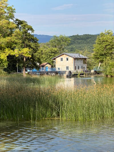 The image depicts a waterside scene with a building complex situated on the bank of a body of water. In the foreground, tall, green reeds with seed heads dominate the water's edge. The water itself is rippled, reflecting the sky and surrounding foliage.
Behind the reeds, a two-story building with a grey roof and light-colored walls is visible. It has several windows and appears to be a structure related to water management or a small power station, with adjacent smaller buildings and what appear to be water intake or control mechanisms. Blue railings and walkways surround parts of the buildings and extend towards the water. The building is nestled amongst lush green trees.
In the background, rolling hills covered in dense forest rise towards a pale blue sky with scattered clouds. The overall impression is one of a tranquil, natural setting with a functional, man-made structure integrated into the landscape. The location is identified as Ćusine, Bosnia and Herzegovina.