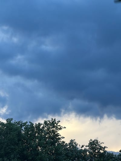 The image displays a view of dark, heavy clouds filling the upper portion of the frame. Below the clouds, a sliver of pale yellow sky is visible, suggesting either dawn or dusk. Silhouetted against this lighter sky are the tops of dense green trees, their leaves forming a textured line across the bottom of the image. The scene appears to be set in an outdoor environment, potentially a park or a suburban area within the city of Petukhi, Russia, given the context provided. There are no people, animals, or specific structures identifiable in the image. The overall impression is one of impending weather change or the transition of daylight.