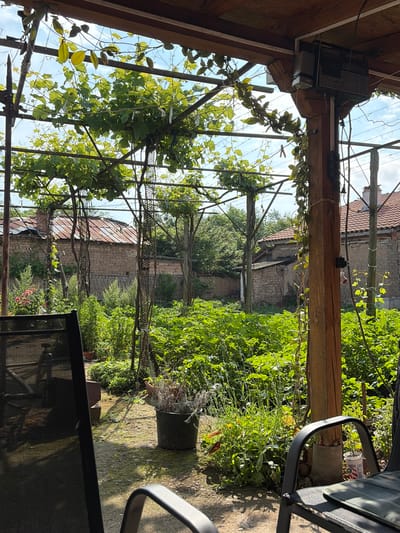 This image captures a vibrant and sunlit garden scene, likely viewed from under a covered pergola or patio. No people are visible.
In the foreground, sturdy wooden beams of a pergola frame the view, with lush green vines, possibly grapevines, intertwining around the structure and overhead, creating a natural canopy. On one of the wooden beams, an old-fashioned outdoor speaker or radio unit is mounted. Parts of two outdoor chairs with dark frames and fabric seating are visible on the right and bottom right, suggesting a seating area. The ground beneath is a mix of dirt and possibly stone, with several plant pots scattered around, one containing dried vegetation. A white bucket with some unreadable red text is also near a chair.
The midground features a flourishing garden with an abundance of green foliage and plants, including some small yellow flowers. Various vertical supports or trellises are visible, helping to guide the growth of the vines and other climbing plants.
In the background, traditional old buildings with brick walls and terracotta tiled roofs are partially visible, nestled among trees and dense greenery. One building exhibits a dark, circular decorative element on its wall, possibly an old wagon wheel.
The time of day is bright and sunny, indicated by the clear blue sky with sparse white clouds visible through the foliage, and the strong shadows cast by the structures and plants. The atmosphere is peaceful and natural, consistent with a relaxed outdoor setting. The scene is located in Dolno Sahrane, Bulgaria, and depicts a rustic, charming garden area.