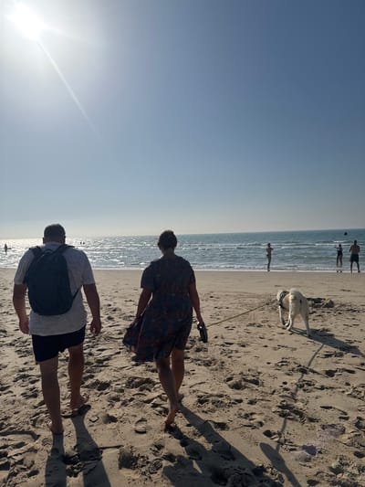 The media file depicts a sunny day at Wissant beach in France. The scene is a sandy beach with the ocean in the background. The sun is bright and low in the sky, casting long shadows on the sand, suggesting it is either early morning or late afternoon. The water appears calm and reflects the sunlight.

In the foreground, two people are visible, facing away from the camera and towards the ocean. One person is wearing a dark dress with a floral pattern, and the other is wearing a light-colored t-shirt and dark shorts, with a backpack on. Further in the background, closer to the water's edge, a white dog is walking on a leash, being held by someone also facing away from the camera. Even further out in the ocean, several figures are visible, some appearing to be playing with a ball, indicating recreational activity.

The overall atmosphere appears relaxed and peaceful, consistent with a beach outing. The clear blue sky and bright sunlight suggest good weather. There is no visible text in the media file.