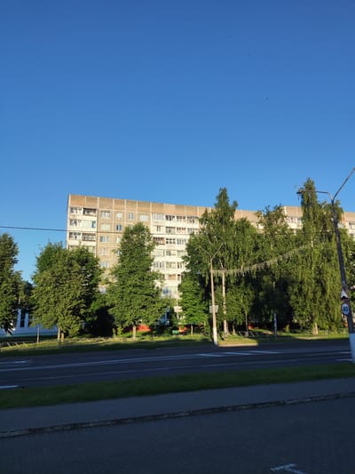 This is a daytime, outdoor, wide shot of a city street scene. A tall, multi-story apartment building with many windows and balconies dominates the background. The building is made of a light-colored material, possibly concrete or brick, with a darker band across the top. In front of the building, a line of lush green trees with full canopies stretches across the frame. Some of the trees have decorative string lights draped between them. A street lamp with a visible sign showing "40" is positioned on the right side of the image, indicating a speed limit. A paved road with white lane markings runs horizontally across the foreground. A sidewalk with brick paving is visible in the lower part of the frame. The sky is a clear, bright blue with several small, dark shapes that appear to be birds flying. The sunlight suggests it is either early morning or late afternoon, casting long shadows on the sidewalk. The overall impression is one of a typical urban environment on a clear day.