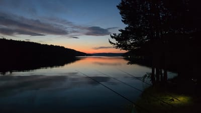 The image depicts a serene twilight scene by a lake, likely in Dolni Pasarel, Bulgaria, given the provided context. The sky displays a gradient of deep blue fading into hues of orange and pink near the horizon, indicative of sunset or sunrise. Wispy clouds are scattered across the sky.
The foreground is dominated by a calm body of water, reflecting the sky and the silhouetted treeline that borders the opposite bank. Several fishing rods are strategically placed on the grassy bank to the right of the frame, suggesting an active fishing endeavor. A single, focused light source illuminates the area around the fishing rods on the bank, casting a warm glow on the grass and equipment.
The right side of the image features a dense silhouette of trees, with a prominent pine tree in the immediate foreground. The left side of the image shows a dark, heavily wooded hillside or shoreline. The overall atmosphere is tranquil and natural, with the presence of fishing equipment adding a subtle human element to the natural landscape.