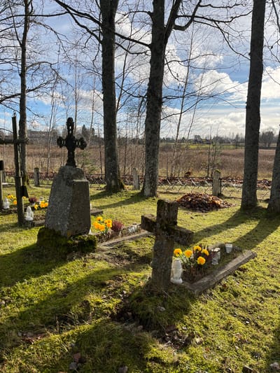 The image displays an outdoor scene within a cemetery in Strigailiškis, Lithuania, under clear, bright daylight. The ground is covered in green grass with patches of moss and scattered brown leaves. Long shadows, indicative of a low sun angle, stretch across the terrain from several prominent, tall, bare deciduous trees with thick, rough bark, positioned throughout the frame.
In the mid-ground left, a large, dark-colored stone monument features an ornate cross, possibly crafted from metal, atop a trapezoidal stone base. Moss growth is visible on the base of this monument. To its right, in the foreground, another weathered stone cross, also displaying moss, rests on a rectangular stone slab. Both grave markers are adorned with clusters of bright yellow flowers, some in pots, and white ceramic lanterns, several of which appear to be unlit votive candle holders. A small, unlit candle in a clear glass holder is also present on the foreground cross's base. Another simple, thin grave marker is partially visible on the far left edge.
A low, dark-colored, decorative metal fence spans horizontally across the mid-ground, acting as a boundary for the immediate burial area. Beyond this fence, a field of dry, brown vegetation extends to the horizon. A distinct pile of brown leaves is situated near the fence in the mid-ground right. The background reveals additional bare trees, including some with lighter bark, and a partially cloudy blue sky. Several distant structures, resembling houses or farm buildings, are discernible on the horizon within the expansive field. No individuals, animals, or vehicles are present in the scene.