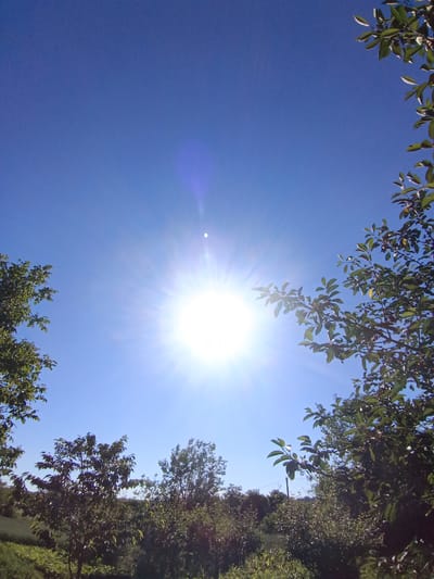 The image shows a bright, sunny day with a clear blue sky. The sun is prominently featured, emitting strong rays. In the foreground, the branches of trees with green leaves frame the scene from the sides, and a scattering of red berries can be seen on the branches on the right. The lower part of the image reveals a landscape with various trees and foliage, suggesting a natural or rural setting. The location is specified as Egorovca, Moldova. There are no people or animals visible in the image. The overall atmosphere is one of a warm, outdoor environment.