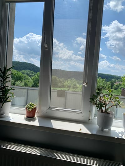 This is a photograph taken from indoors, looking out a window with a screen. The scene is a windowsill with several potted plants, including an aloe vera plant in the foreground and two other succulents in pots. In the background, through the window, there is a view of a hilly landscape covered in lush green trees under a bright blue sky with fluffy white clouds. The sun is shining, casting shadows on the windowsill and the radiator to the right. The time of day appears to be daytime, likely late morning or early afternoon, given the strong sunlight. The weather seems pleasant and sunny. The location context is Zamostia, Ukraine. There is no visible text in the image.