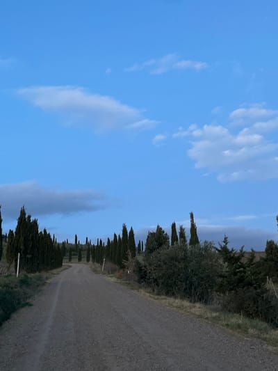 The image displays a serene, unpopulated rural landscape, strongly indicative of the Tuscan countryside near Montalcino, Italy. A narrow, unpaved gravel road, showing signs of vehicle tracks, extends from the lower right foreground into the distant background, gradually curving towards the left. This road is bordered on both sides by characteristic tall, slender cypress trees, which form a distinct line receding into the horizon. Interspersed with the cypress trees are other dark green bushes and vegetation.
The upper portion of the frame is dominated by a clear, bright blue sky scattered with wispy, white cumulus clouds. The lighting suggests either early morning or late afternoon, with the ground and trees appearing somewhat shadowed, lending a soft, tranquil atmosphere to the scene. In the far distance, faint outlines of rolling hills or mountains are visible under a slight atmospheric haze, merging with the sky. There are no people, animals, or discernible text present in the image. The overall impression is one of peaceful solitude and natural beauty.