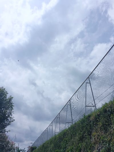 This image depicts an outdoor scene in ឃុំ ផាត់សណ្ដាយ, Cambodia, under an overcast sky. The primary feature is a long section of dark-colored mesh fencing, supported by metal posts and angled upwards from the lower right to the upper left of the frame. The fence runs along the top of a vegetated embankment or hillside, which is covered densely with various green plants and some sparse reddish-pink foliage. The vegetation extends from the base of the fence down into the lower portion of the image. A section of a dark green tree canopy is visible in the lower left corner. The sky occupies approximately two-thirds of the upper frame, dominated by extensive grey and white cloud formations, suggesting a heavily cloudy day. A small, dark bird is captured in flight in the upper left quadrant of the sky. No human subjects are visible.