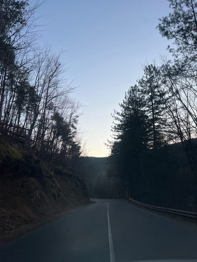 The image displays a two-lane asphalt road traversing a forested, mountainous region near Stoianovo, Bulgaria. The road curves slightly to the right in the mid-ground and is marked by a single continuous white line down its center. No vehicles or individuals are present. To the left of the road, a steep embankment rises, covered with dark, mossy vegetation and numerous bare deciduous trees interspersed with evergreen conifers. To the right, a dense stand of tall, dark evergreen trees, primarily pines, lines the roadside, partially obscured by deep shadows. A metal guardrail runs along the right edge of the road, visible for a short distance. The sky above is a clear, pale blue, transitioning to a lighter hue near the horizon, indicative of low light conditions consistent with dawn or dusk. Distant hills or mountains form a dark silhouette against the horizon.