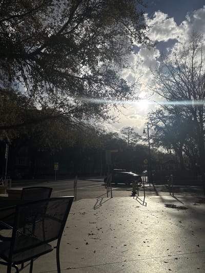 This image depicts an outdoor urban scene in Gainesville, Florida, specifically along University Avenue, indicated by a visible street sign. The scene is illuminated by strong sunlight from the upper right, creating significant lens flare and deep shadows in the foreground and on the left side of the frame. The sky is partially cloudy with bright white and grey formations against a blue background.

In the immediate foreground, a paved surface, likely concrete, is visible, strewn with scattered brown leaves. Two dark, metal mesh chairs and a table are partially visible on the far left, situated in shadow, suggesting an outdoor seating area. Several vertical metal posts, potentially bicycle racks or bollards, are present on the right side of the paved area, casting long, distinct shadows across the sunlit ground.

The midground features a two-lane asphalt road (University Avenue) running horizontally. A dark-colored sedan is either parked or in motion on the right side of the road, facing right, partially obscured by shadows and sun glare. A utility pole on the left displays a "UNIVERSITY AVE" street sign with "GAINESVILLE FL" below it, and another yellow rectangular sign is partially visible. Further to the right, a traffic light pole with a traffic signal and a street lamp extends upwards. Buildings are visible on the far left beyond the road, largely in shadow.

The background consists of numerous trees with varied foliage, some appearing deciduous, others evergreen, lining the street and extending into the distance. No individuals are visible within the frame. No discernible actions or interactions are occurring.