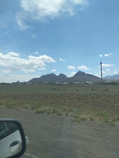 The image depicts a rural landscape with a clear blue sky filled with scattered white clouds. In the foreground, a gravel road is visible, with the side mirror of a vehicle on the left. The middle ground features a grassy plain with several dark-colored animals grazing. In the background, a cluster of buildings forms a small settlement, with rolling hills and rugged mountains rising behind them. A utility pole with wires stands to the right of the frame. The overall scene suggests a serene, open environment typical of a countryside setting. The specific location is identified as Asmansay, Uzbekistan, which is a rural area known for its natural landscapes and agricultural activities.