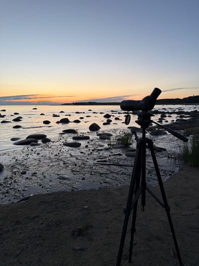 This is a medium shot, eye-level, vertical photograph of a telescope on a tripod situated on a sandy shoreline at dusk. The telescope is black and pointed towards the sea, which is calm and reflects the soft colors of the sunset. The sky is a gradient of pale blue and orange. The shoreline is littered with smooth, dark rocks of various sizes, and a small amount of green vegetation is visible on the right side of the frame. In the background, a tree line and buildings are faintly visible across the water. The photograph was taken in Haabneeme alevik, Estonia.