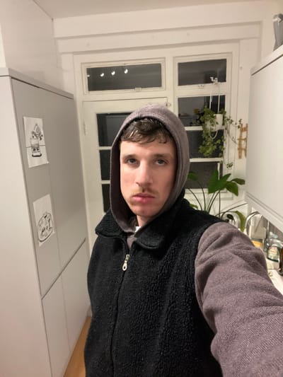 A man in a grey hoodie and a black fleece vest poses indoors. His gaze is direct. Behind him, a window with white frames is visible, partially obscured by houseplants. Above, a grey cabinet features two white papers with drawn figures attached. The lighting suggests it is nighttime. A sink and countertop are also visible.