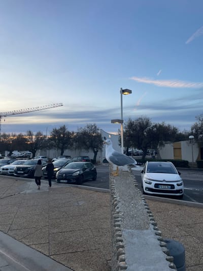 The image depicts an outdoor scene at dusk or twilight in La Grande-Motte, France. In the foreground, a large seagull with white and gray plumage and yellow legs stands atop a low, textured concrete wall that runs diagonally from the bottom right towards the center. The seagull faces left, looking over a paved pedestrian area where two individuals, appearing to be adult females, walk away from the camera, heading towards a parking lot. The woman on the right wears a dark top and light-colored pants, while the woman on the left wears a darker outfit.
Beyond the paved area is a parking lot filled with numerous parked cars; a prominent white Citroën with license plate FB-532-MX is visible on the right, directly behind the seagull, while a dark Renault Clio with license plate GA-673-PS is visible further left. A modern-style streetlamp with two illuminated rectangular light fixtures stands behind the seagull. In the mid-ground, a line of dense, dark-foliaged trees separates the parking area from the background. Against the horizon on the far left, a large construction crane is visible. The sky is a gradient of light blue to pale orange and pink near the horizon, with thin, wispy cloud formations.