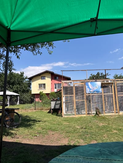 In Ivanyane, Bulgaria, on a clear, sunny day, a backyard scene unfolds under a vibrant green canopy. A two-story house, painted in contrasting yellow and red, stands prominently in the background. To the left of the house, a white gazebo with draped curtains offers a shaded retreat. In the mid-ground, a long, wooden aviary structure with translucent siding and wire mesh cages occupies a significant portion of the frame, adorned with a blue banner depicting two white doves. A bicycle wheel is visible in the foreground, partially obscured by the green canopy. The ground is covered in green grass, with patches of dry earth and some low-lying vegetation. The overall impression is one of a peaceful, rural setting.