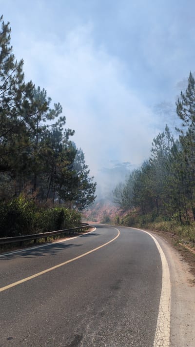 A roadside view in Tu Póh, Vietnam, reveals a curving asphalt road marked with a yellow center line. Beyond the road, a forest fire is underway, emitting smoke that fills the air. Trees line both sides of the road. A metal guardrail protects the roadside edge.