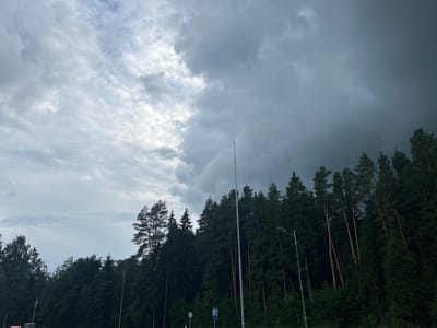 The image depicts a forest scene under a dramatic, cloudy sky, possibly on the outskirts of Бешанковіцкі сельскі Савет, Belarus. A dense line of dark green coniferous trees dominates the right and central portions of the frame. The sky is a mix of light and dark grey clouds, with the darker clouds on the right suggesting an approaching storm or recent rainfall. Several tall, thin light poles are visible interspersed within the trees and along the edge of the forest. In the lower foreground, on the left side, some foliage and the tops of what appear to be buildings or structures are visible, suggesting a proximity to a developed area, possibly a road or an entrance to the forest. There are no people or animals visible in the image. The overall impression is one of a natural landscape under changing weather conditions.