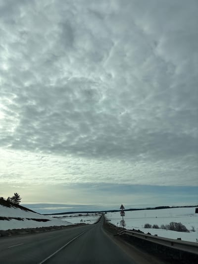 This image displays a two-lane asphalt road traversing a snow-covered rural landscape in Bol'shaya Sosnova, Russia. The sky is largely overcast, dominated by a dense formation of grey altocumulus clouds, with a faint lighter blue band visible at the horizon. The road, featuring white lane markings, extends straight into the distance before a slight curve, and appears clear of snow. To the left, a steep, snow-covered embankment is visible, crowned by a single conifer tree. Beyond this embankment, snow-covered fields stretch towards a distant village or settlement characterized by scattered structures and trees. To the right of the road, a metal guardrail runs parallel to the asphalt. Further right, snow-covered ground extends, punctuated by bare deciduous trees and bushes. A roadside post displays two triangular warning signs: an upper sign with a black exclamation mark on a white background, and a lower sign depicting a black zigzag line on a white background, indicating a winding road ahead. No people, vehicles, or animals are visible.