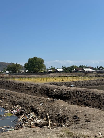 The image depicts a scene in Kertasari, Indonesia, featuring an agricultural landscape marred by litter. In the foreground, a pile of refuse, including plastic bottles, fabric scraps, and other debris, is scattered along the edge of a muddy ditch. Beyond this, a cultivated field with rows of young plants stretches towards a line of buildings and trees. The background shows a cluster of houses with various roof types, interspersed with lush vegetation. A gently sloping hill forms the furthest backdrop, under a clear blue sky. The overall impression is one of agricultural activity in proximity to waste and habitation.