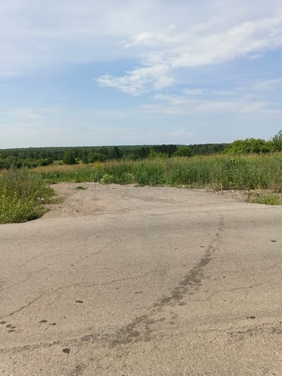The image captures a rural landscape scene, likely on the outskirts of Cheremkhovo, Russia. In the foreground, a cracked asphalt road occupies the bottom half of the frame. The road surface is textured with small stones and shows evidence of wear and tear, including dark patches, possibly oil stains, and visible cracks forming a pattern. A light-colored, gravelly area branches off from the road to the left, transitioning into a dense field of green grass and wildflowers.
The midground is dominated by a lush expanse of tall grass and various plants, interspersed with scattered yellow wildflowers. Beyond this field, a dense line of trees forms a dark green horizon, suggesting a forest. The trees vary in height and density, with some taller, darker evergreens standing out against a backdrop of deciduous trees. The sky above is a pale blue, populated by scattered white clouds of varying sizes and shapes, with a few tiny dark specks that could be birds or insects. The overall impression is of a natural, undeveloped area under a partly cloudy sky. There are no people or animals visible in the scene.