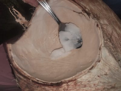 The image depicts a halved coconut with a spoon embedded in its meat, likely being eaten. The coconut flesh is white, and a scoop of it is visible on the spoon. The exterior of the coconut husk is rough and fibrous. Location information is not discernible from the image and therefore cannot be confirmed to be in Southkhali, Bangladesh.