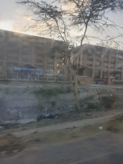 A multi-story brown building stands beside a road. A tree, partially bare, stretches across the facade. A sign reading "DIGNITY FURNITURE" is visible. A mix of pavement and vegetation lines the roadside. The image is somewhat obscured by fog or haze.