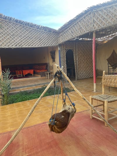 A camel carcass hangs from a makeshift gallows of wooden poles and blue ropes. The scene occurs in an open courtyard or patio with light yellow walls and a red ground. Wicker roofing is visible, along with patio furniture and a doorway. The environment appears to be in a warm climate.