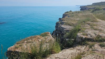 The image depicts a coastal landscape in Kamen Bryag, Bulgaria. The foreground features rocky cliffs with sparse vegetation, including grasses and small shrubs. The azure water of the Black Sea extends to the horizon. The shoreline extends in the distance with visible cliffs. The sky is clear and pale blue.