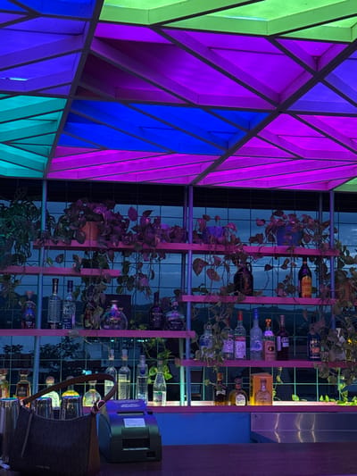 An indoor bar presents a geometric partition with panels illuminated in green, blue, and purple. A metal shelving unit displays an assortment of liquor bottles, intertwined with potted plants that cascade down the structure. A purse rests near the bottom of the shelf, contributing to the bar's ambiance. The space suggests a modern, sophisticated atmosphere.