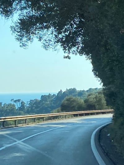 The image shows a winding asphalt road with a white line marking its center, curving to the right. A yellow guardrail runs alongside the road on the left. Beyond the guardrail, a verdant hillside slopes down towards the sea, which is visible in the distance as a strip of blue. The sky is a clear, pale blue. The road is bordered on the right by dense green foliage. In the foreground, the road surface appears wet in places, reflecting the sky and surroundings. The scene suggests a scenic route, likely in a coastal or hilly region. This image does not contain any elements that would specifically place it in Nerin, Montenegro.
