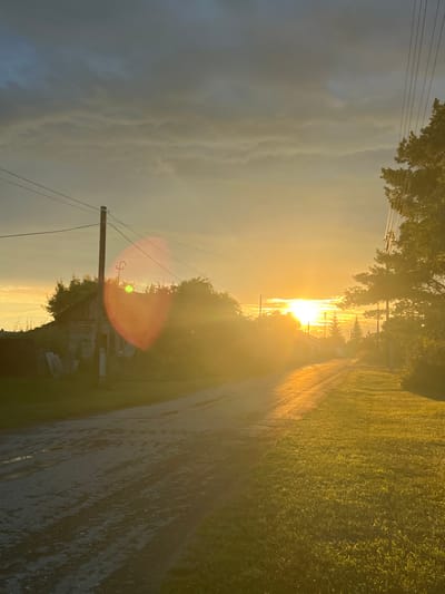 The image depicts a rural road at sunset in Pivkino, Russia. The sun is low on the horizon, casting a warm, golden light across the scene. The road itself appears to be unpaved and wet, with puddles reflecting the sky. On the left side of the road, there is an old, dilapidated wooden house surrounded by dense foliage. A wooden utility pole with wires stands in front of the house. On the right side of the road, there is a grassy area and a tall coniferous tree. The sky is filled with dramatic clouds, some dark and ominous, others illuminated by the setting sun. The overall impression is one of rustic beauty and tranquility.