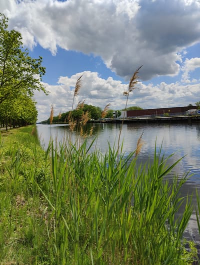 The image shows a canal scene in Oosterhout, Netherlands, on a bright, partly cloudy day. The canal is bordered by a grassy bank with tall reeds in the foreground. A row of trees lines the opposite side of the canal. In the background, there is a building with a parking area next to the canal. The canal water reflects the sky and clouds.