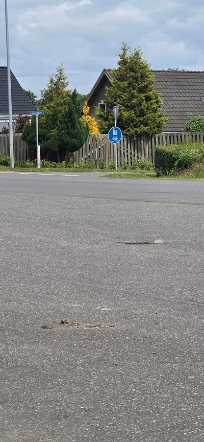 This is a photograph of a street scene in Hjørring, Denmark. In the foreground, a paved road with some debris and a manhole cover is visible. In the mid-ground, there is a sidewalk or curb with grass and some small plants. A wooden fence runs along the edge of the property. Behind the fence, there are trees with green and yellow foliage, and the roofs of houses. A street sign that reads "Gadekjæret" is mounted on a pole. Next to it, a blue circular sign with white silhouettes of a pedestrian and a cyclist indicates a shared path. The sky is overcast with scattered clouds.