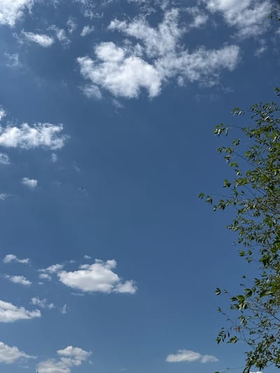 This media file depicts a clear blue sky with scattered white clouds. Lush green leaves and branches hang from the top of the frame, suggesting the viewpoint is from beneath a tree. The overall scene evokes a serene and peaceful outdoor setting. There are no visible people or text. The lighting suggests it is daytime, likely mid-morning or afternoon, with pleasant weather. The presence of clouds indicates a dynamic sky, but the deep blue of the sky hints at the sun being prominent. The image is likely taken in an outdoor location with abundant greenery, consistent with the context of Zhovte, Ukraine, a rural or semi-rural setting. The image is static, showing a moment captured in time.