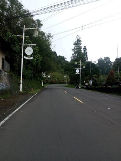 The image depicts an asphalt road winding through a green, hilly environment in the city of Bangtsho, Bhutan, under an overcast sky. The road features a solid white line marking its left edge and dashed yellow lines in the center, indicating a two-lane configuration. No vehicles or pedestrians are present on the road.
On the left side of the road, a low retaining wall constructed of grey and reddish-brown stones, topped with green moss and foliage, supports an ascending hillside covered in dense green vegetation. A light-colored building with a dark rectangular opening is partially visible behind the first lamppost. Five ornate white lampposts with golden accents are spaced along the left side of the road. Each lamppost features a cage-like lantern atop two circular white signs; the lower sign on the foremost pole displays text including "AL ARAB" and an "M" symbol. Numerous black utility lines crisscross the upper left portion of the frame against the grey sky.
On the right side of the road, a series of similar white lampposts extends into the distance. A black scooter or motorbike is parked adjacent to the road near one of these lampposts. Beyond the road and the lampposts, a landscaped area with various green trees and shrubs is visible, including a prominent conical reddish-brown tree. Tall, dense evergreen trees form a natural backdrop against the horizon.