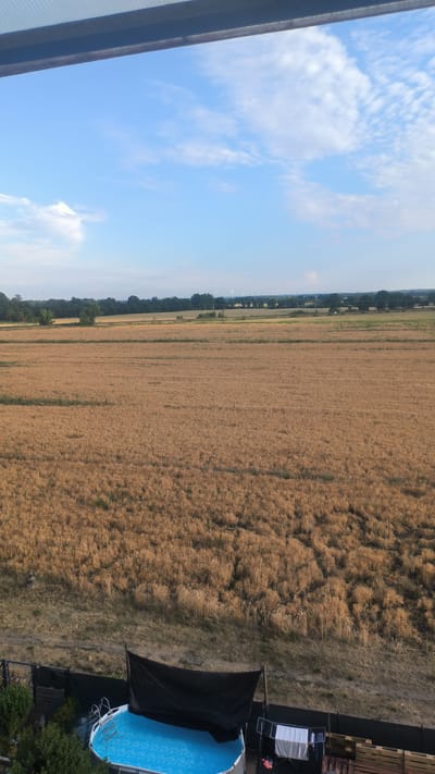 This is a medium-angle, eye-level shot of a rural landscape in Brück, Germany. The scene is dominated by a vast field of dry, golden crops, likely wheat or barley, stretching towards a treeline in the distance. The sky above is a vibrant blue, dotted with scattered white clouds, suggesting a clear and pleasant day. Several wind turbines are visible on the horizon, indicating the area's reliance on renewable energy.

In the foreground, a small above-ground swimming pool is set up, filled with bright blue water and covered partially by a black tarp. A ladder extends into the pool. Adjacent to the pool, a clothesline is set up with laundry drying. A wooden fence encloses this area, and some greenery and trees are visible to the left. The time of day appears to be late afternoon or early evening, given the warm, golden hue of the crops and the angle of the light. The overall impression is one of rural tranquility and summer leisure. There is no visible text in the image.